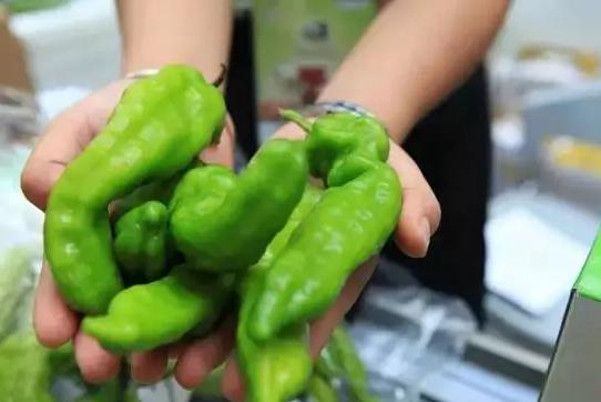 雙十一狂歡下，有機農產品能否依然“好酒不怕巷子深”？