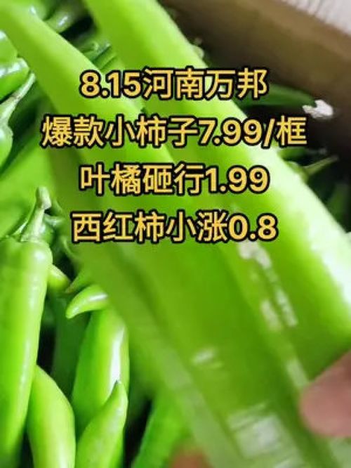 農產品市場行情持續低迷，水果蔬菜優質產品如何破局？