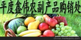 山東玉米市場價格、廠家信息與農產品代理介紹