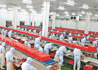 哈爾濱:規上農產品企業量效雙收，現代農業引擎動能強勁