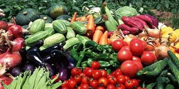 皖校食堂攜手，愛心采購助農惠學